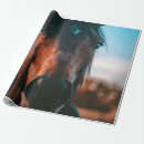 Recherche de cheval cadeau emballages Sauvage