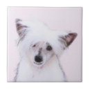 Recherche de peinture chinoise carreaux Pour tous