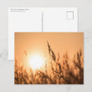 Suche nach schilfe postkarten Sonnenuntergang