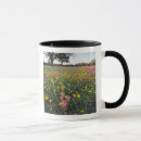 Recherche de flora tasses Vert