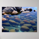 Suche nach lake tahoe poster Nevada