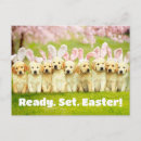 Suche nach lustiges ostern einladungen Osterhase