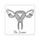 Suche nach menschliche organe Frauen