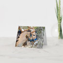 Suche nach tiere kleine grußkarten Esel