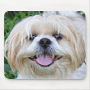 Recherche de tzu shih tapis souris Chien