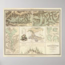 Recherche de diagrammes posters Feuille