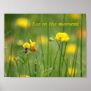 Recherche de mindfulness posters Nature