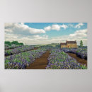 Suche nach lavendelfeld poster Felder