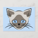 Recherche de visage de chat cartes postales Félin