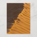 Suche nach sande postkarten Landschaft