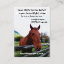 Recherche de chevaux photographie Équitation