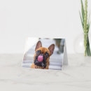 Suche nach lustige französische bulldogge karten Glücklich