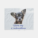 Recherche de chihuahua maison décorations Animaux