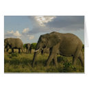 Suche nach loxodonta postkarten Kenya