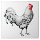 Suche nach hamburg fliesen Huhn