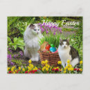 Recherche de chat pâques cartes postales Printemps