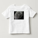 Suche nach krater des mondes tshirts Fotografie