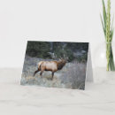 Recherche de bourrage vœux cartes Taureau