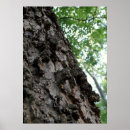 Suche nach barke kunst Wälder