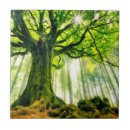 Suche nach baumstämme fliesen Baumstamm