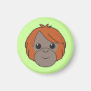 Suche nach orang utans magnete Sumatra
