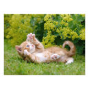 Recherche de flex posters Drôle