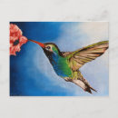 Recherche de peintures colibri cartes postales Oiseau