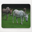 Suche nach esel mousepads Natur