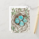 Recherche de nids cartes postales Nid d'oiseaux