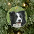 Suche nach border collie ornamente Niedlich