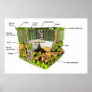 Suche nach cell biology poster Cells