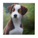 Suche nach collie fliesen Welpe
