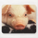 Suche nach ferkel mousepads Bauernhof