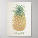Suche nach vintage hawaii poster Aloha