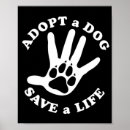 Suche nach tierrettungs poster Adoption