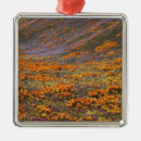 Suche nach frühlings blumen ornamente Landschaft