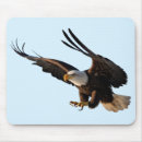 Recherche de aigles tapis souris Vol