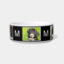 Recherche de pet collage Mignon