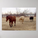 Recherche de cheval de palomino posters Équine