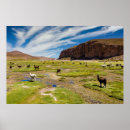 Suche nach bolivien poster Salar de uyuni