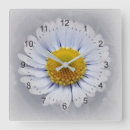 Recherche de marguerites horloges Pour tous