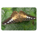 Recherche de tropical papillon magnets Insecte