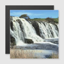 Recherche de hopkins magnets Nature