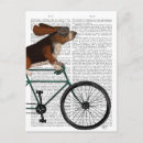 Recherche de basset hound cartes postales Contrebasses