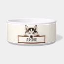 Recherche de husky maison deco Chiot