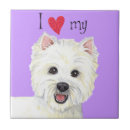 Recherche de westie carreaux West highland white terrier