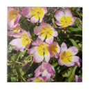 Suche nach hübsche gelbe blumen fliesen Botanisch