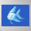 Suche nach angelfish poster Angelfisch
