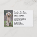 Recherche de soin de chien cartes visite Se reposer