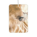 Recherche de zoo voiture accessoires Safari